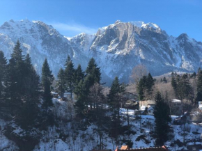 Apartament Bușteni